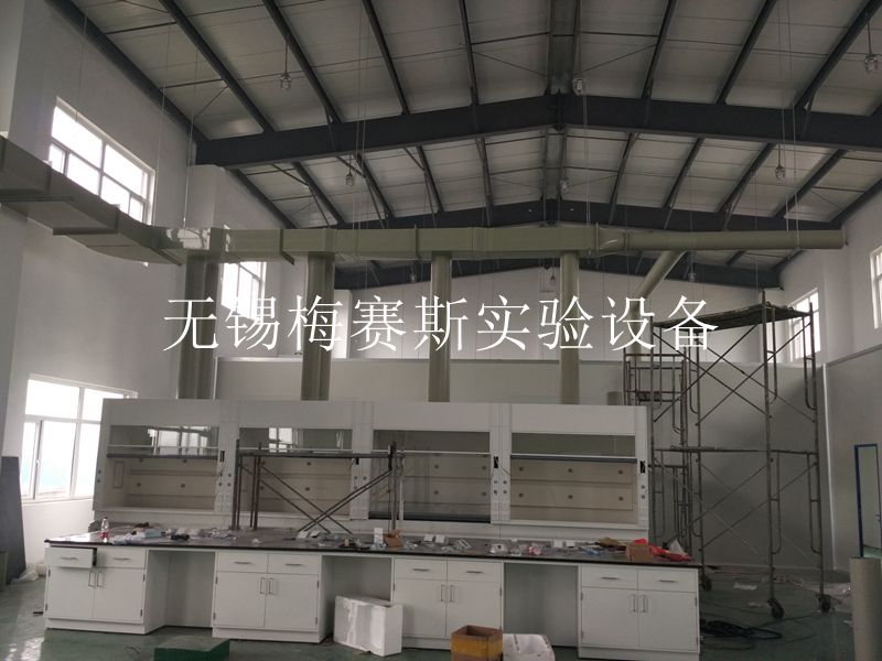 <b>全钢通风柜、实验台-安徽滁州电子材料研发中心</b>